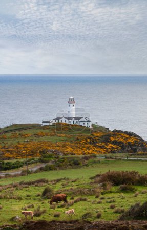 Photo for Fanad Head Lighthouse. Donegal, Ireland - Royalty Free Image