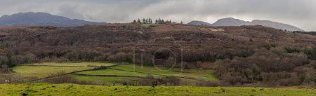 Téléchargez les photos : Paysage d'Irlande. Champs verts printaniers avec collines - en image libre de droit