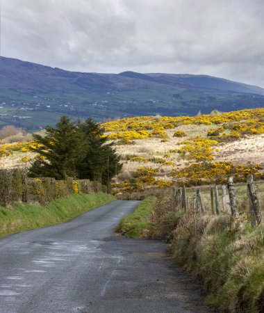 Foto de Vista panorámica del paisaje en el camino a Lough Foyle y Lough Swilly a la cima de Grianan of Aileach - Un antiguo anillo de piedra en Co. Donegal, Irlanda - Imagen libre de derechos