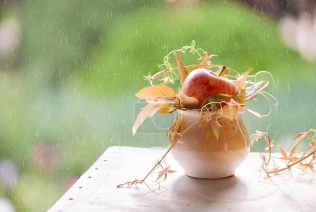 Téléchargez les photos : Composition automnale avec une pomme et des branches de raisin sauvage de jeune fille. Gros plan sur fond de pluie extérieure - en image libre de droit
