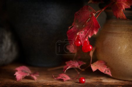 Foto de Bodegón con viburno escarlata ramas de otoño y bayas en - Imagen libre de derechos