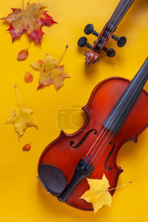 Photo for Two Old violins on yellow autumn maple leaves background. Top view, close-up. - Royalty Free Image