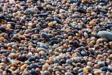 Téléchargez les photos : Pierre ronde de galets de plage laminée humide, fond naturel, texture - en image libre de droit