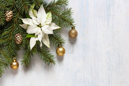 Foto de Decoración de Navidad con ramas de abeto, poinsettia blanca, bolas de Navidad de color dorado y conos en el fondo azul claro. Vista superior, primer plano, plano - Imagen libre de derechos