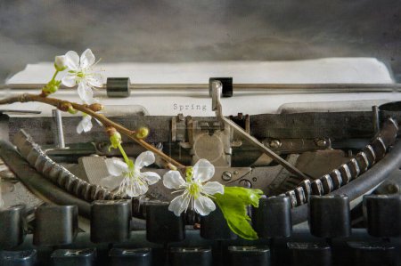 Foto de La palabra Primavera se imprime en fuente antigua en una máquina de escribir mecánica manual antigua - Imagen libre de derechos