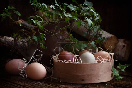 Eier im Kochen in Stroh mit grünen Efeuzweigen auf Holzuntergrund. Selektiver Fokus