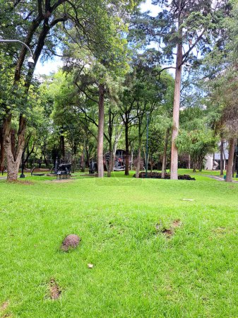 Photo for Mexico City, Mexico - Aug 2 2023: Sculptural Garden of the Museum of Modern Art (MAM) is a public space to explore and discover in the natural environment of the Chapultepec Forest - Royalty Free Image