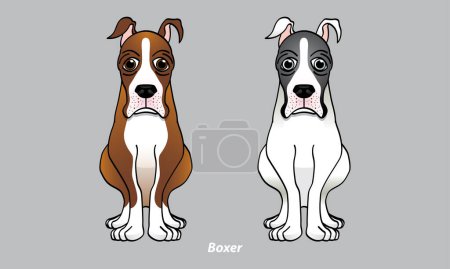 Illustration for Vector of a cute Boxer. With 2 color options. Vector. - Royalty Free Image