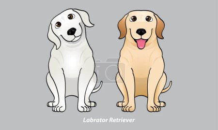 Téléchargez les illustrations : Vecteur d'un Labrador mignon. Avec 2 options de couleurs. Vecteur. - en licence libre de droit