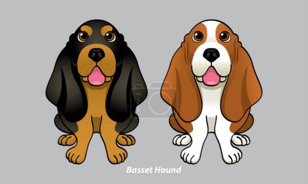 Illustration for Vector of a cute Basset Hound. With 2 color options. Vector. - Royalty Free Image