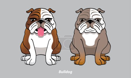 Illustration for Vector of a cute Bulldog. With 2 color options. Vector. - Royalty Free Image