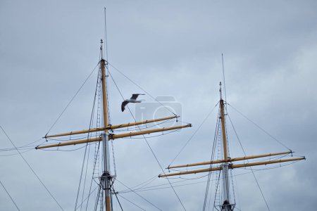 Téléchargez les photos : The masts of an old sailboat against the cloudy sky and a flying seagull. Glenlee, steel-hulled three-masted barque. The Tall Ship at Glasgow Harbour - en image libre de droit