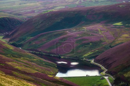 Colorido paisaje de pendiente de la colina cubierto de flores de brezo púrpura y pequeño lago. Colinas de Pentland, Escocia