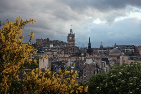 Foto de Vista de la ciudad de Edimburgo al atardecer desde Calton Hill. Un arbusto floreciente de escoba escocesa en primer plano. Edimburgo, Escocia, Reino Unido - Imagen libre de derechos