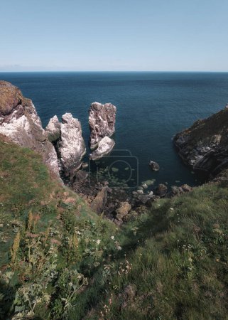 Scottish seashore with cliffs. St Abbs Head National Nature Reserve on the Berwickshire coastline, Scotland, UK