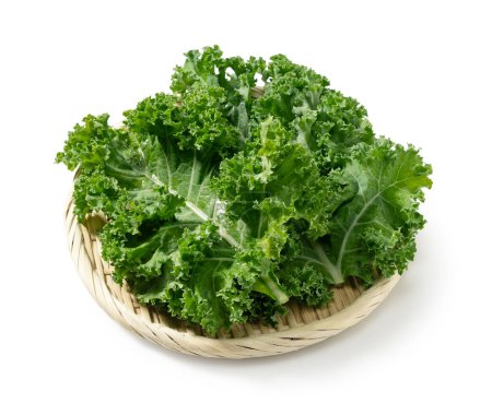 Kale in a colander set against a white background. curly kale.