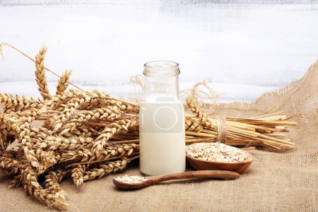 Photo for Alternative types of milks. Vegan substitute dairy milk. oat - Royalty Free Image