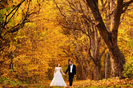 Téléchargez les photos : Les jeunes mariés se tiennent la main et se regardent dans le parc d'automne - en image libre de droit