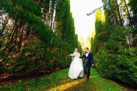 Foto de Los recién casados están tomados de la mano y corriendo en el parque entre hileras de árboles. diviértete. - Imagen libre de derechos