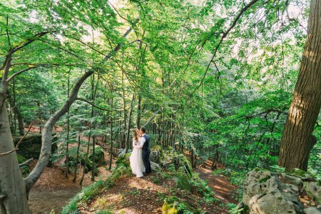 Foto de Perfil de los recién casados en el fondo del bosque con árboles altos. naturaleza. - Imagen libre de derechos