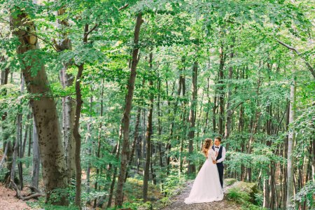 Foto de Sensual abrazo de recién casados entre árboles altos en el bosque. - Imagen libre de derechos