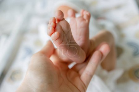 Photo for Baby feet in mother hands. Mom and her Child. Happy Family concept. Beautiful conceptual image of Maternity - Royalty Free Image