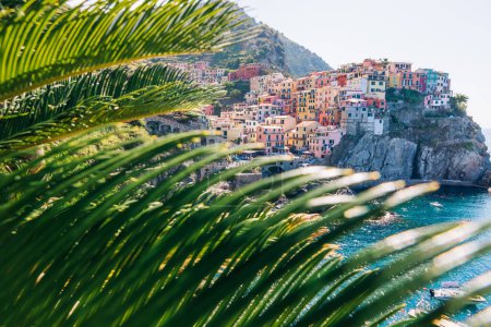 Téléchargez les photos : Village sur rochers falaises et mer. feuilles de palmier au premier plan. Parc national d'Italie. - en image libre de droit