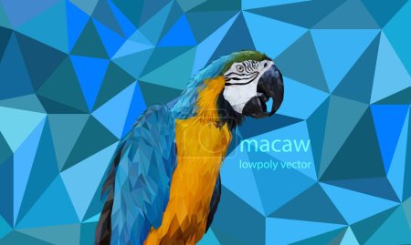 Ilustración de Gráficos poligonales Ilustración vectorial de loro guacamayo azul y amarillo - Imagen libre de derechos