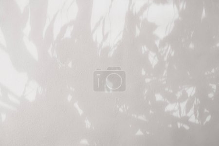 Téléchargez les photos : Ombre des feuilles sur un fond de mur blanc. Mur en béton blanc et gris pour la conception de fond et papier peint - en image libre de droit
