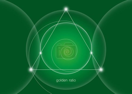 Illustration for Golden Ratio, Fibonacci spiral, interlocking circles, triangles and spirals hipster sacred geometry illustration. White line vector isolated on green background. - Royalty Free Image
