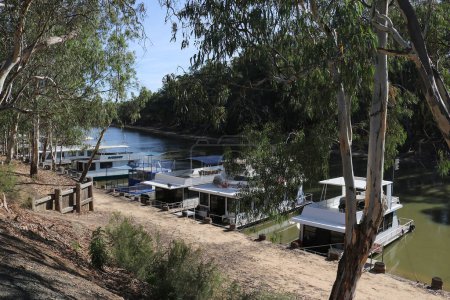 Photo for ECHUCA, AUSTRALIA - March 1, 2020: Murray River houseboats moored at Echuca, Australia - Royalty Free Image