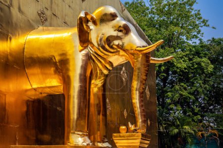 Vista de cerca de un elefante dorado en Wat Phra Singh en Chiang Mai, Tailandia
