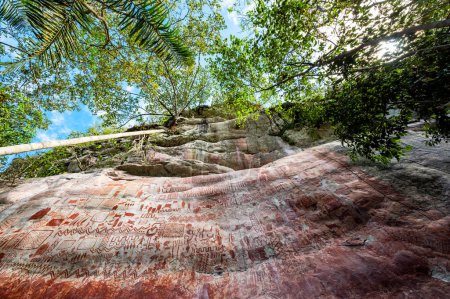 Ancient rock paintings in a dense jungle at Cerro Azul in Guaviare, Colombia