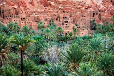 Oasis de palmiers avec ruines en arrière-plan à Tinghir, Maroc
