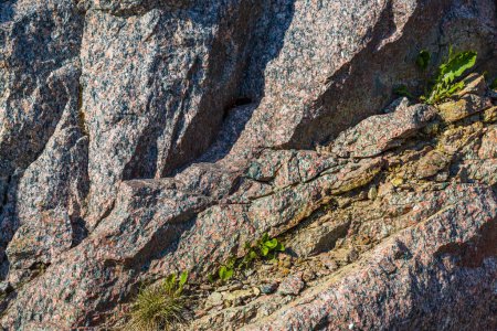 Photo for Close-up view of granite mountain with grass shoots on it. - Royalty Free Image