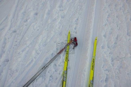 Photo for Close-up view of yellow classic plastic Fischer skis and Swix poles lying on ski track. - Royalty Free Image