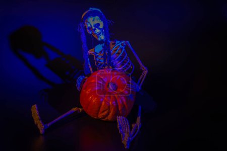 Foto de Vista de cerca del esqueleto sentado sobre fondo negro con retroiluminación azul que sostiene la calabaza. Concepto de Halloween. Países Bajos. - Imagen libre de derechos
