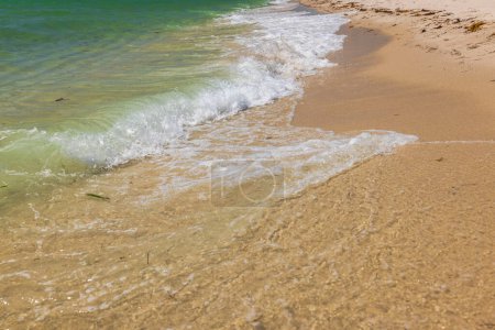 Vue panoramique d'une plage de sable, avec les vagues de l'océan Atlantique qui battent doucement contre le rivage. Miami Beach. 