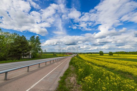 Beautiful view of the highway alongside rapeseed fields against the backdrop of the blue sky with white clouds. Sweden.