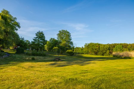 Beautiful view of mown meadows in rural countryside near the lake against the backdrop of the forest on a warm sunny day. Sweden.