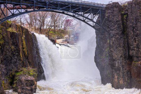 Beautiful view of Paterson Falls and the bridge against a spring landscape. 