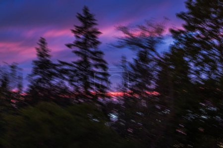 Beautiful out-of-focus night view of the pink sky during sunset over the forest trees. Sweden.
