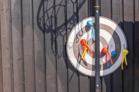 Close-up view of a dartboard with colorful fabric darts attached, mounted on a wooden fence in bright sunlight.