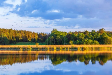 Atemberaubender Blick auf das ruhige Wasser des Sees, das das gegenüberliegende Ufer reflektiert, mit Waldbäumen vor Sonnenuntergang. Schweden.