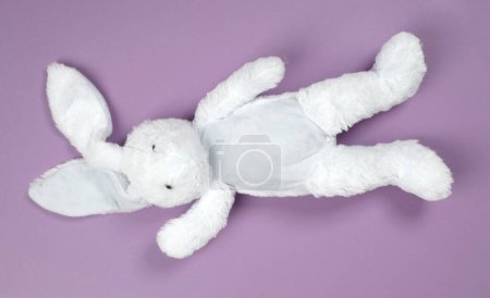 Téléchargez les photos : Jouet lapin, isolé sur fond violet solide - en image libre de droit