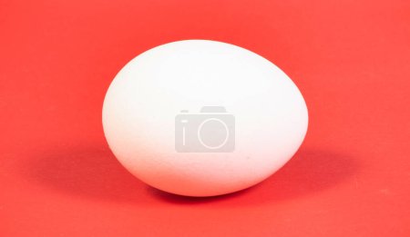Un huevo de pollo blanco sobre un fondo rojo de cerca
