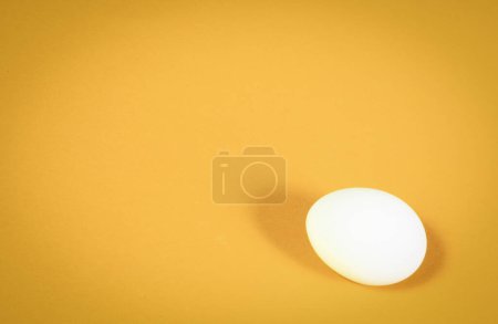 Ein weißes Hühnerei auf orangefarbenem Hintergrund in Großaufnahme