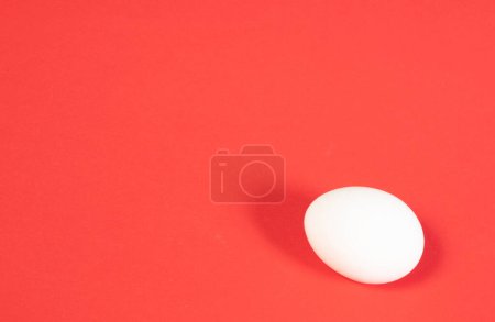 Un huevo de pollo blanco sobre un fondo rojo de cerca