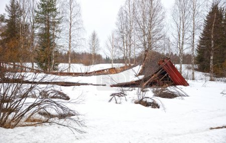 Collapsed structure destroyed by snowfall in Finland, end of winter