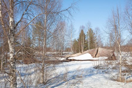 Structure effondrée détruite par les chutes de neige en Finlande, fin d'hiver